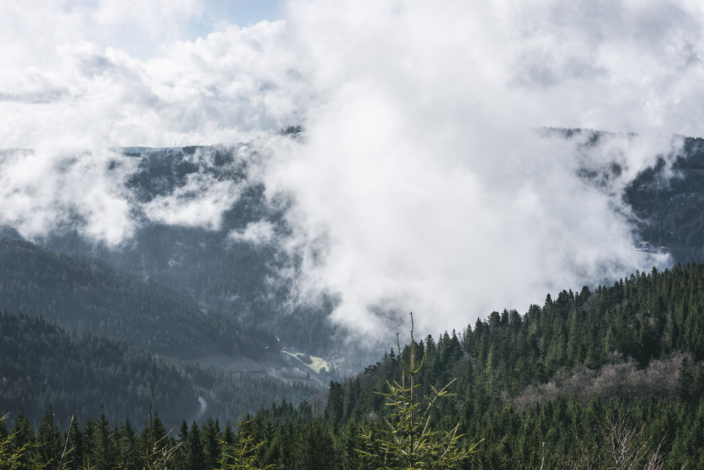 Spring mountain landscape with the Black Forest and the Hornisgrinde mountains covered by clouds, in Germany. Fir forest on peaks and cloudscape.