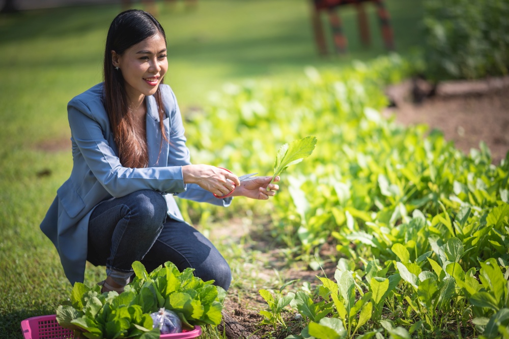 Girl and planting vegetables for eating at home