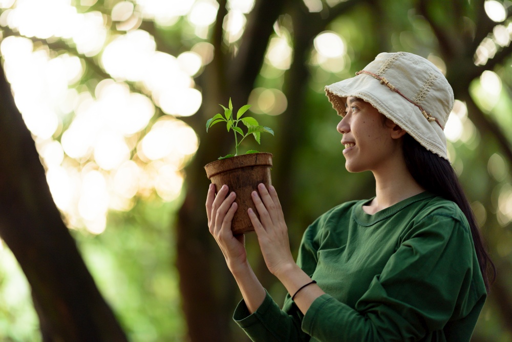 Image of an Asian woman In the concept of planting trees for the environment