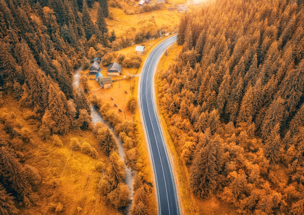 Aerial view of road in beautiful orange forest at sunset in autumn. Colorful landscape with roadway, trees in fall. Carpathian mountains. Top view from drone of winding road. Autumn colors. Travel. Aerial view of road in colorful orange forest at sunset in autumn