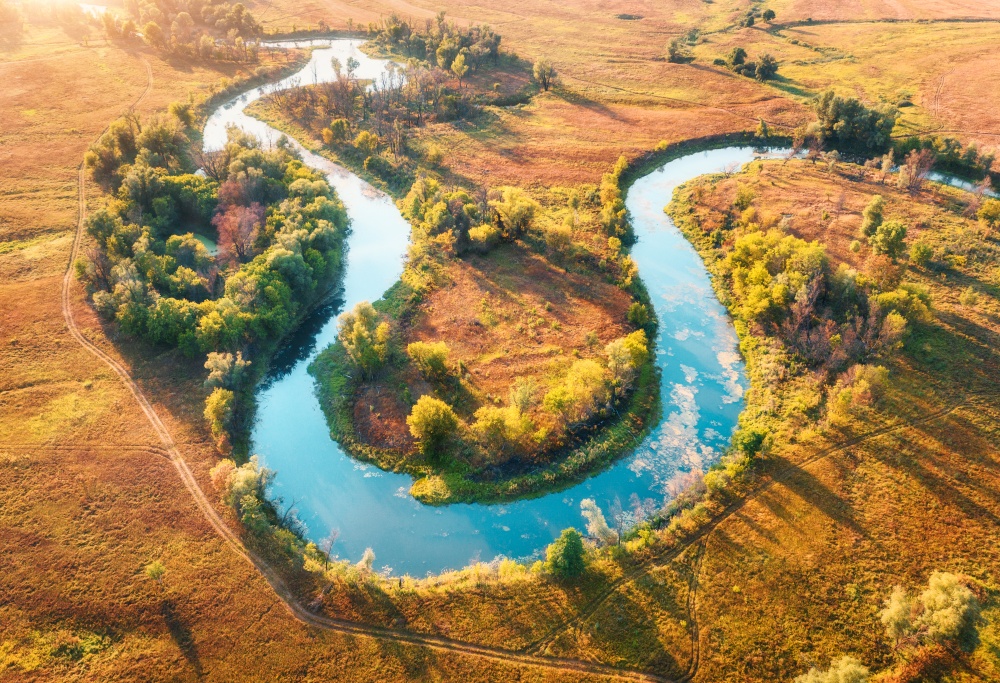 Aerial view of beautiful curving river at sunrise in autumn. View from air. Turns of river, meadows, orange grass, trees at dawn. Colorful aerial landscape of river coast at sunset in fall. Top view. Aerial view of curving river at sunrise in autumn. View from air