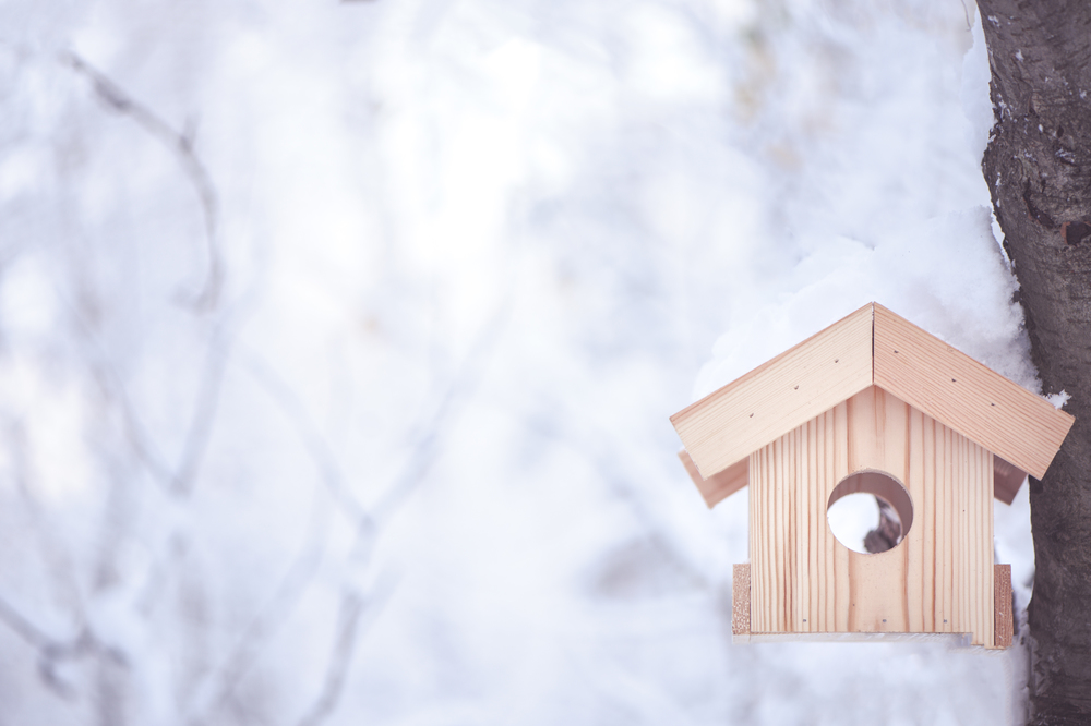 Winter background. A birdhouse on a tree and a blurry background for text