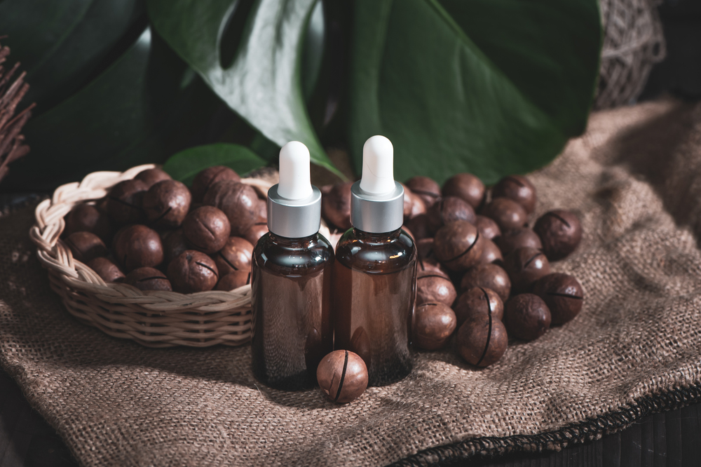 Macadamia oil in bottles and macadamia nuts ,  vintage rustic style .  Bio, organic , nature cosmetics concept