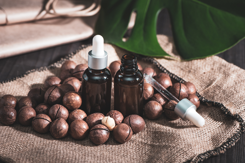 Macadamia oil in bottles and macadamia nuts ,  vintage rustic style .  Bio, organic , nature cosmetics concept