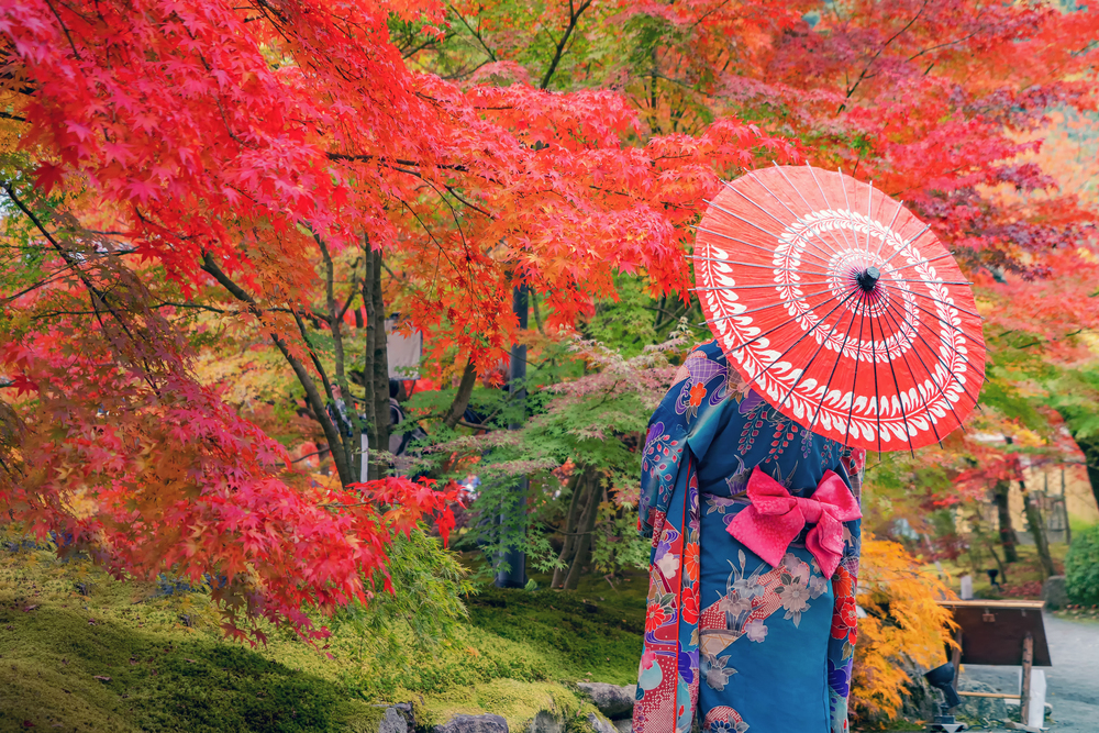 An Asian woman wearing Japanese traditional kimono with red umbrella standing with Red maple leaves or fall foliage in Autumn season during travel holidays vacation trip outdoors in Kyoto City, Japan.