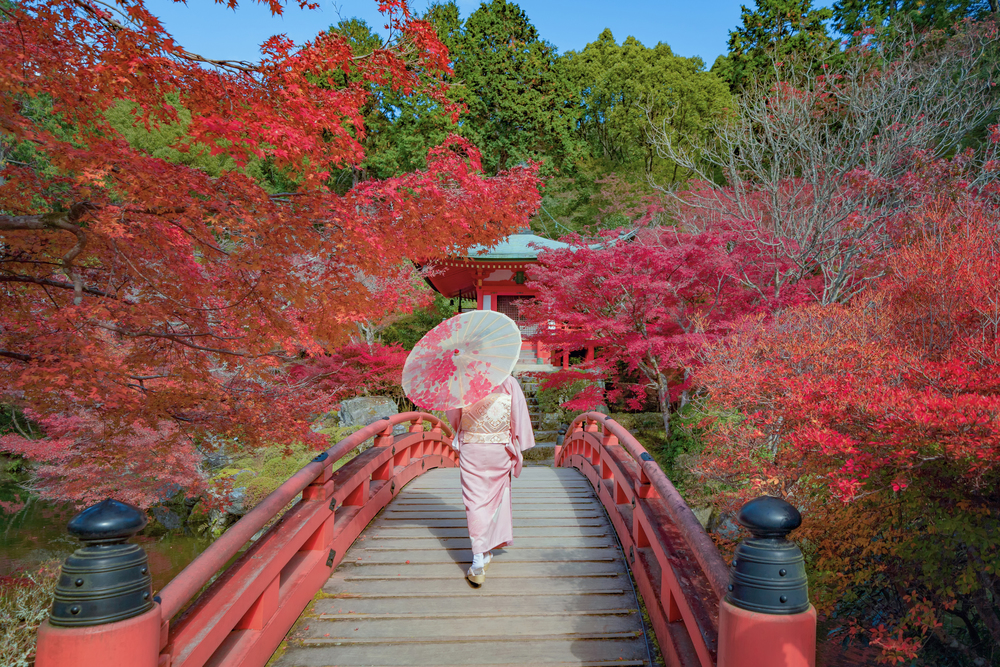 An Asian woman wearing Japanese traditional kimono standing in Daigoji Pagoda Temple with red maple leaves or fall foliage in autumn season. Colorful trees, Kyoto, Japan. Nature landscape background.