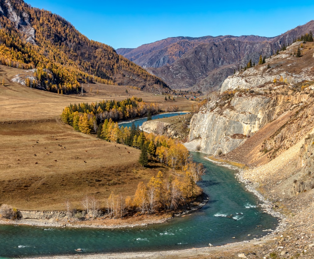 Scenic view of the Katun river in Altai mountains, Russia