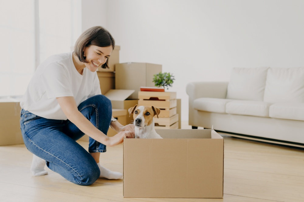 Happy lovely woman dressed in casual clothes, plays with favourite pet who poses in carton box, pose in white spacious room, lives in rented house express positivity. Moving Day and relocation concept