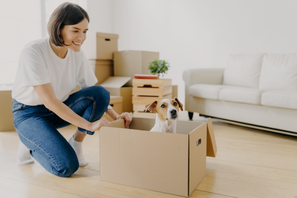 Indoor shot of pleased brunette woman dressed in white t shirt and jeans, plays with pedigree dog, moves carton box with animal, pose in living room, buy first new property. Mortgage concept