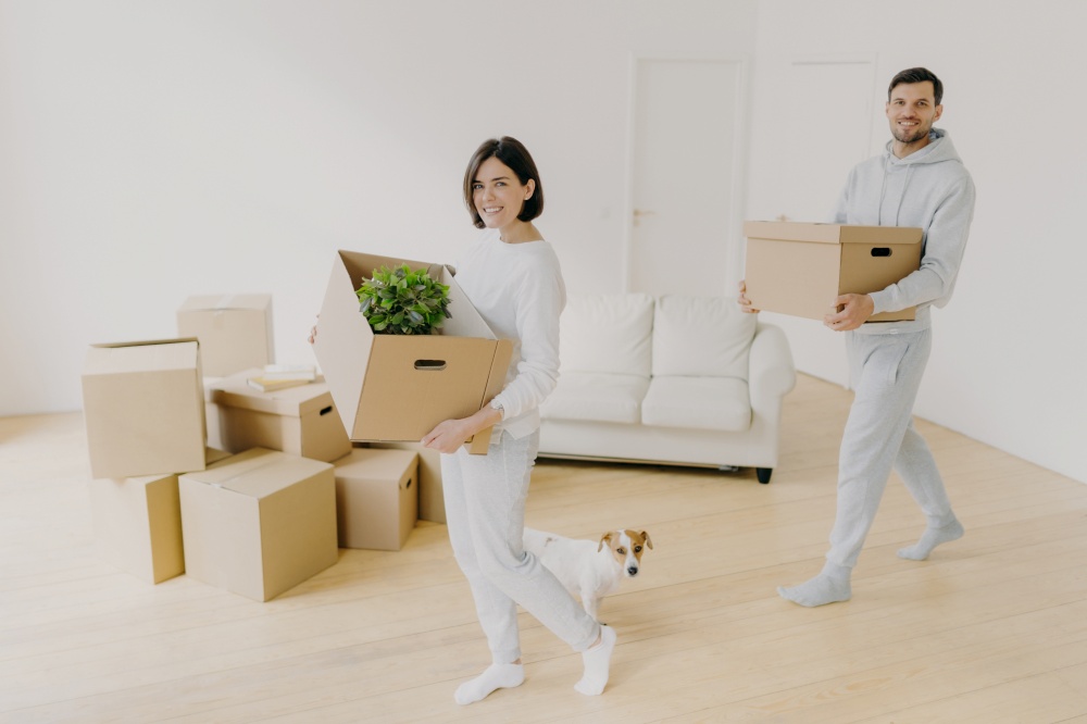 Photo of happy smiling brunette woman and her husband carry cardboard boxes with personal belongings, relocare to new apartment, enter empty room, start new life, little dog near, enjoy moving day