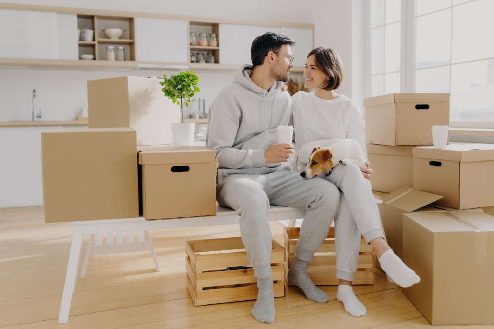 Lovely spouses sit near carton big boxes, drink coffee and talk about future plans, relocate in new apartment, pose with pedigree dog, poses in spacious kitchen, think about design or interior