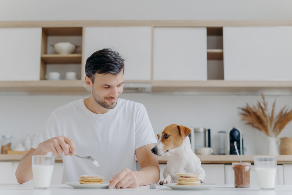 Photo of happy man eats tasty pancakes with fork, drinks milk from glass, wears white t shirt, his jack russell terrier dog poses near, has delicious breakfast together with host, kitchen background