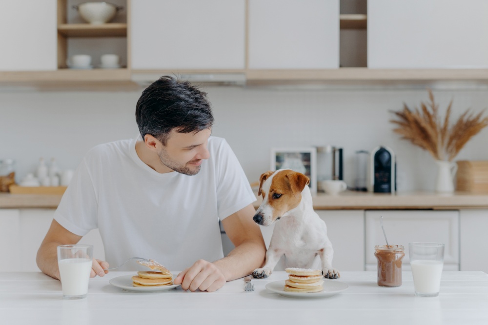 Image of brunet unshaven European man spends free time together with pedigree dog, eat pancakes in kitchen, enjoys sweet dessert, dressed casually. Breakfast, family, animals and eating concept