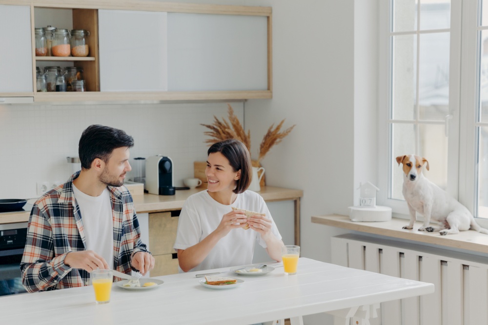 Happy husband and wife have pleasant talk while have breakfast in kitchen, enjoy weekend, dressed in domestic clothes, eat delicious meal, their favourite dog poses on windowsill near. Family, meal