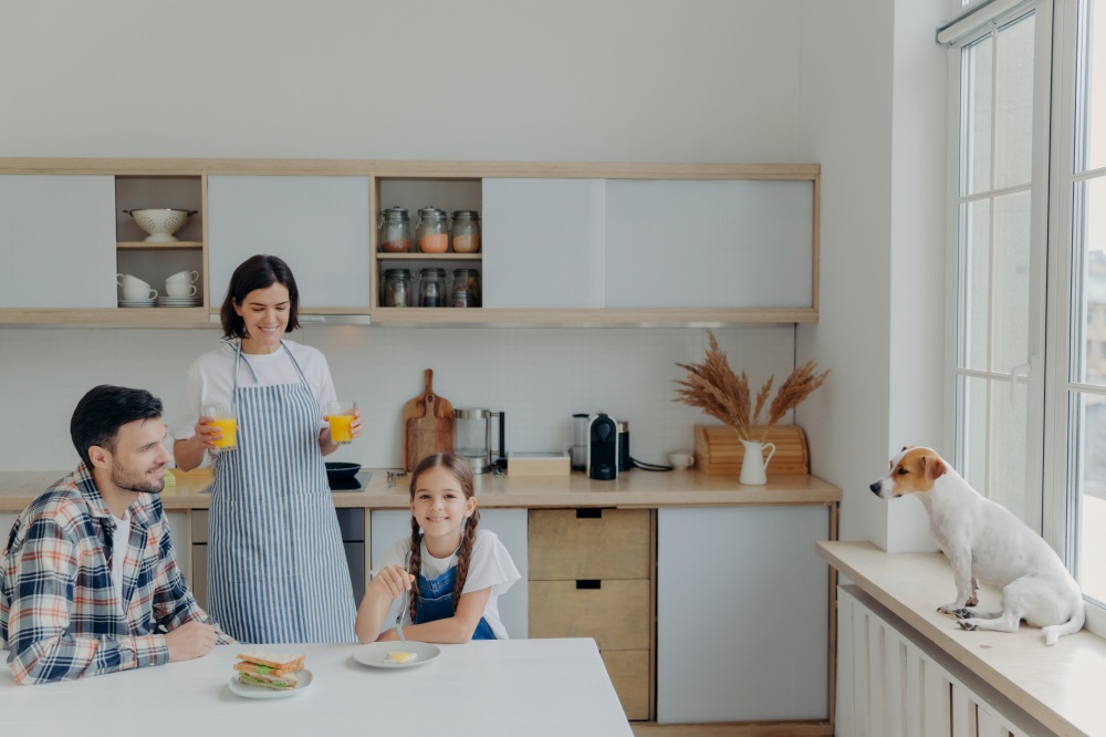 Shot of happy mother, daughter and father pose together at kitchen, drink fresh juice and eat burgers, have delicious breakfast prepared by mom, their favorite domestic pet poses on window sill