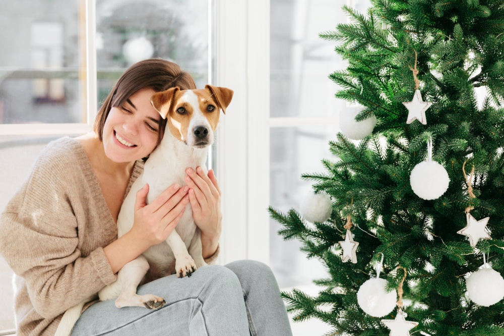 People, animals, relationship and holiday concept. Adorable brunette woman embraces pet with love, dressed in brown oversized sweater and jeans, pose near decorated Christmas tree, have festive mood