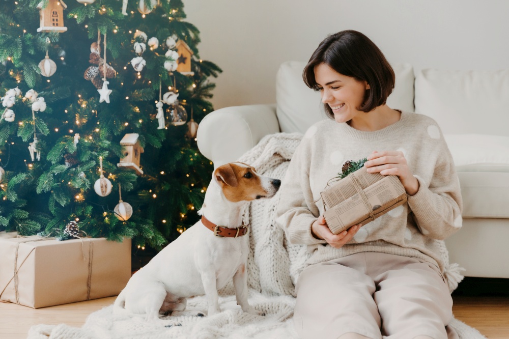 Cheerful brunette woman shows received presents to favourite dog, pose together on floor in cozy room, have festive mood, prepare for Christmas or New Year, enjoy winter time. Hoilday concept