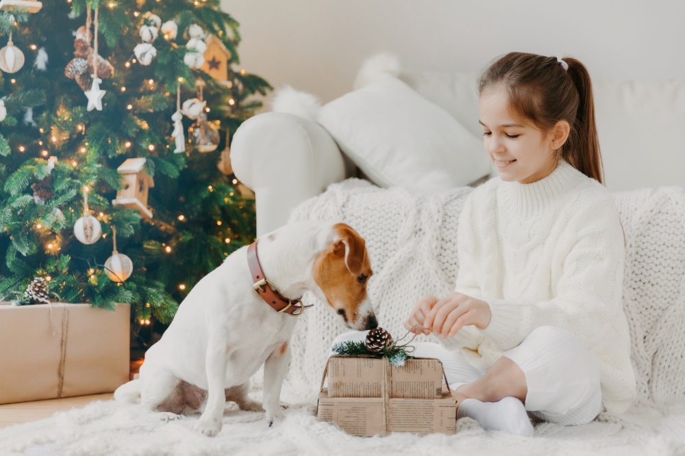 Horizontal shot of adorable small girl with pony tail, dressed in white winter sweater, sits crossed legs on floor, unpacks Christmas gift, beautiful decorated New Year tree near. Holiday traditions