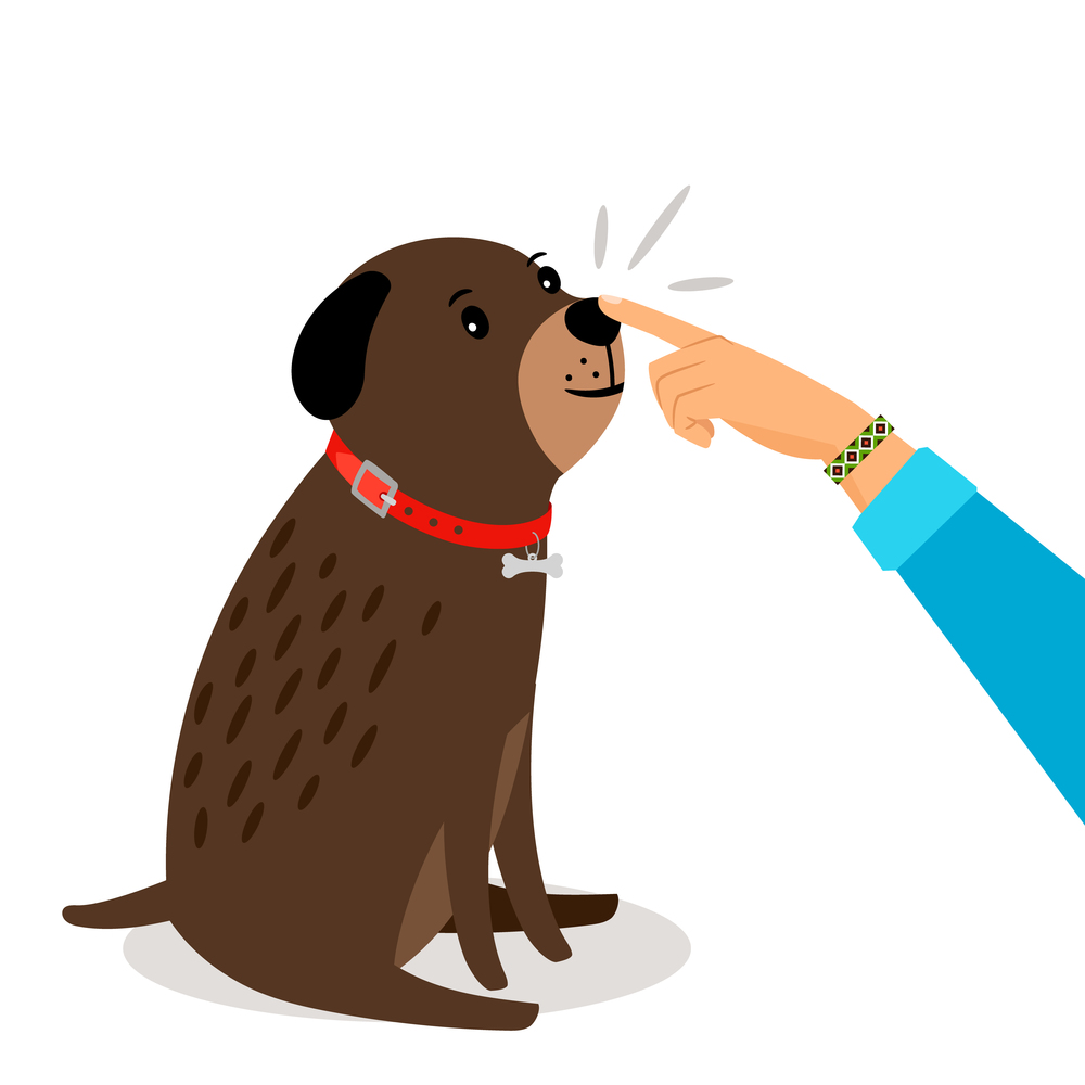 Dog health test. Girl hand touches her dogs nose vector illustration. Girl hand touches dogs nose