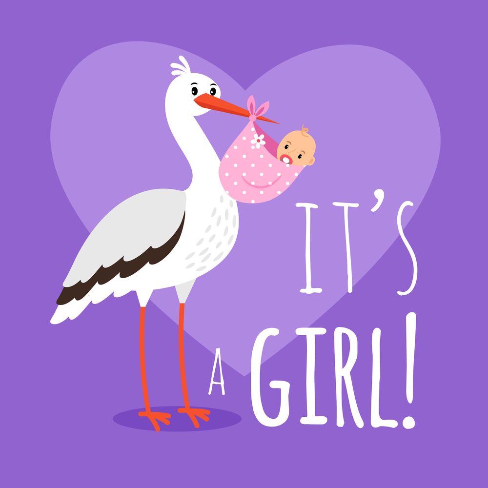 Stork with baby girl. Birth announcement card template with stork carrying girl for baby shower card vector illustration. Stork with baby girl