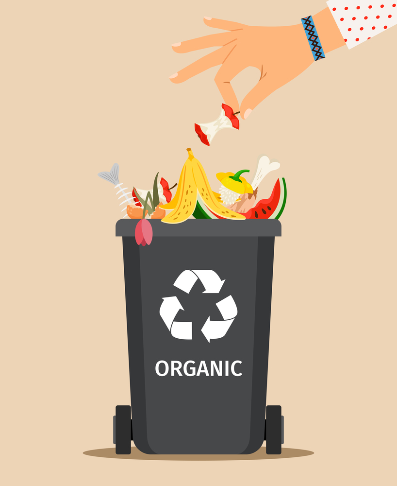 Woman hand throws garbage into a organic container, vector illustration. Woman hand throws organic garbage