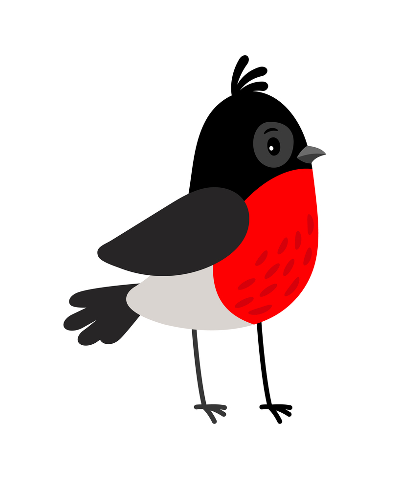 Bullfintch bird colorful icon on white background, vector illustartion. Bullfintch cartoon bird icon