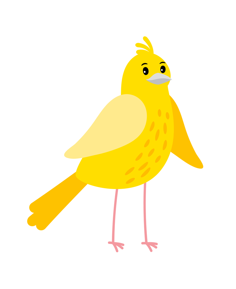 Cute cartoon canary bird icon an white background, vector illustration. Cute cartoon canary bird icon