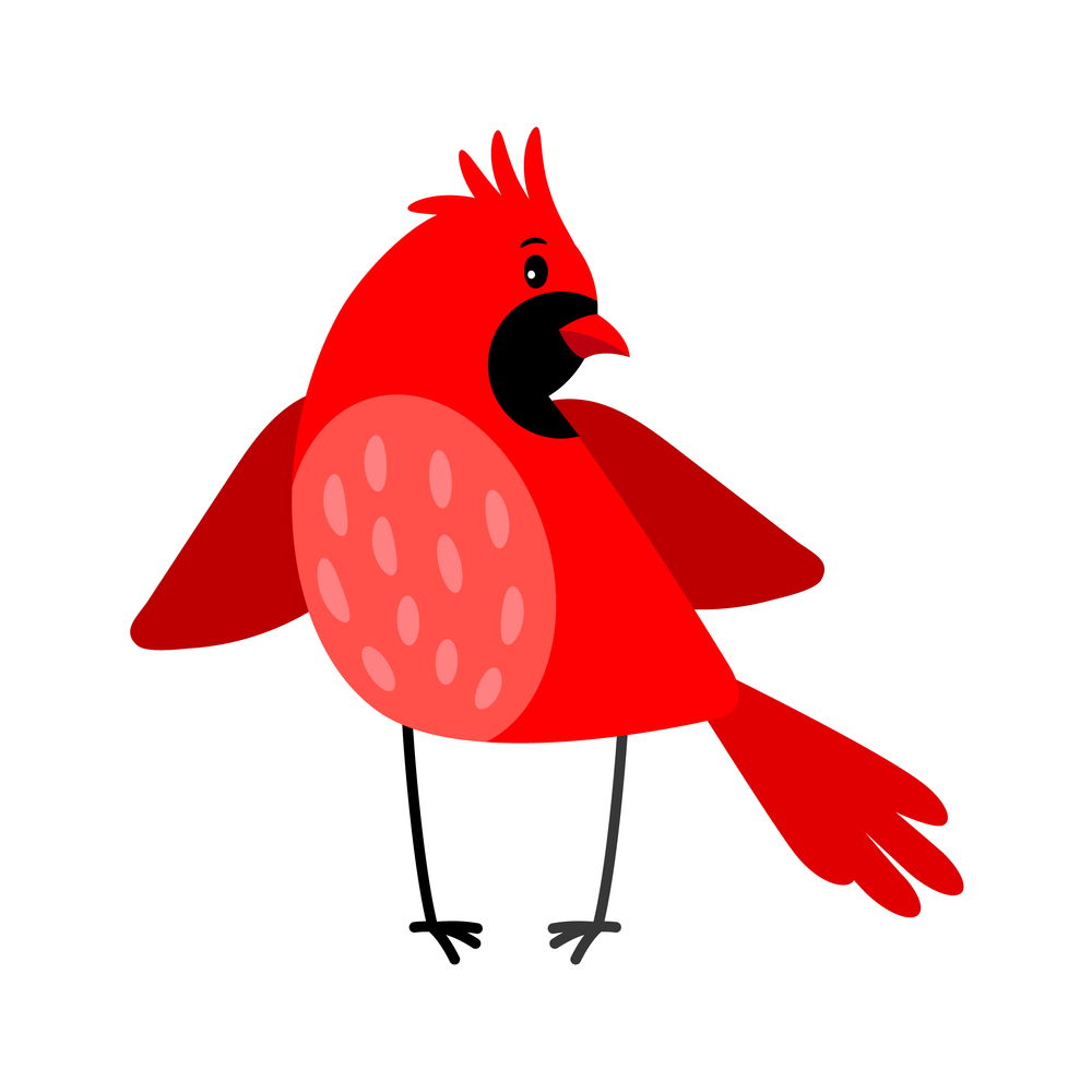 Cardinal colorful cartoon bird icon isolated on white background, vector illustration. Cardinal bird icon isolated on white
