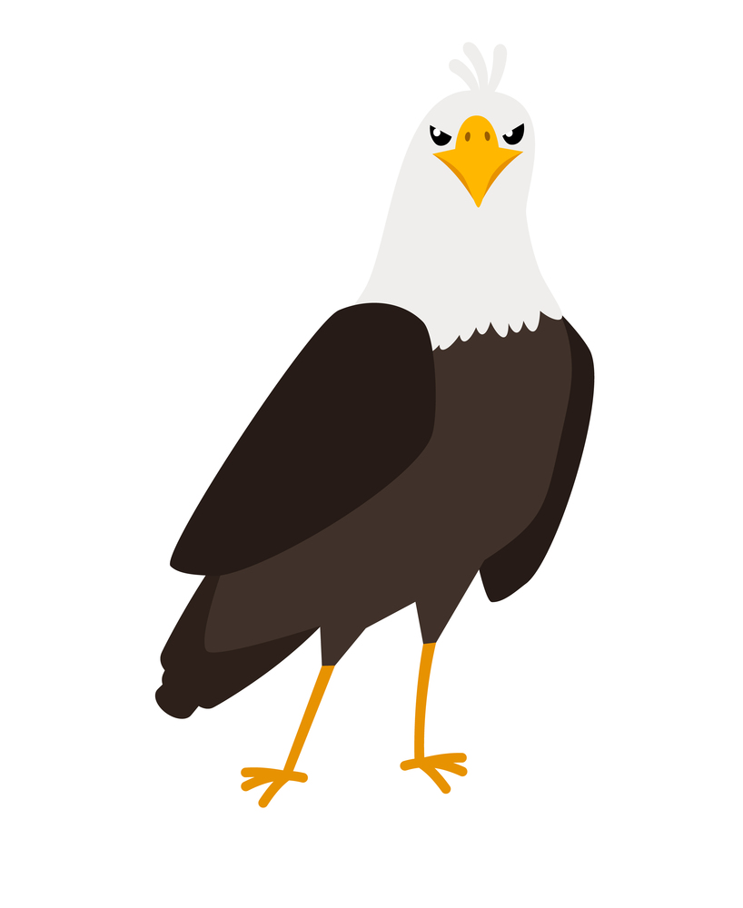 Eagle cartoon bird icon on white background, vector illustration. Eagle cartoon bird icon