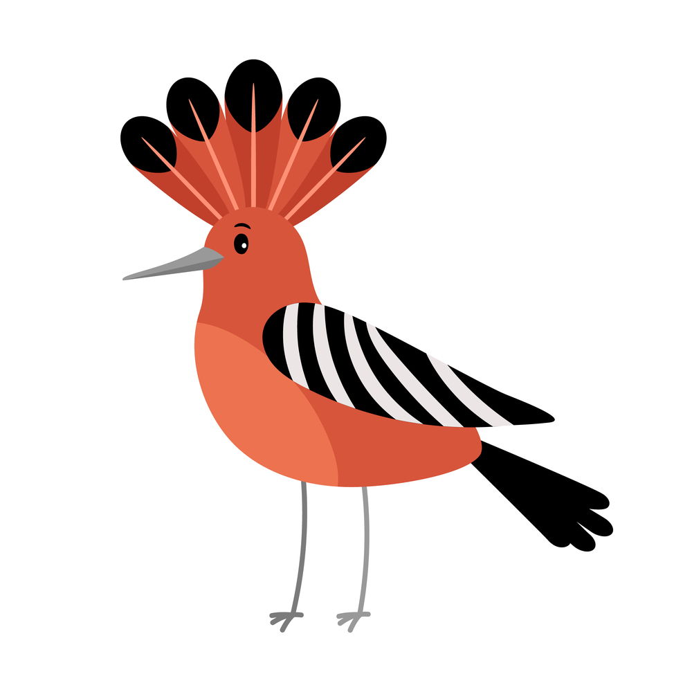 Hoopoe cartoon colorful bird icon on white background, vector illustration. Hoopoe cartoon bird icon