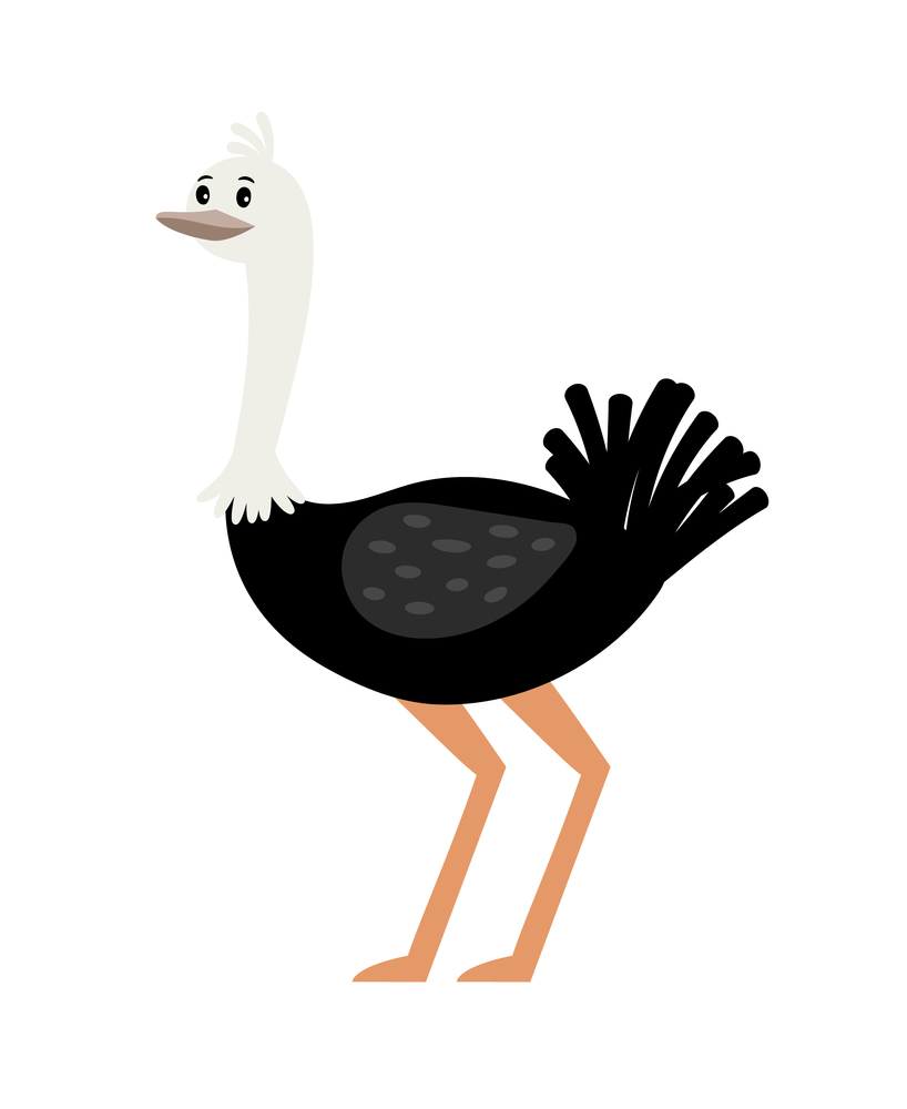 Ostrich cartoon bird icon isolated on white background, vector illustration. Ostrich cartoon bird