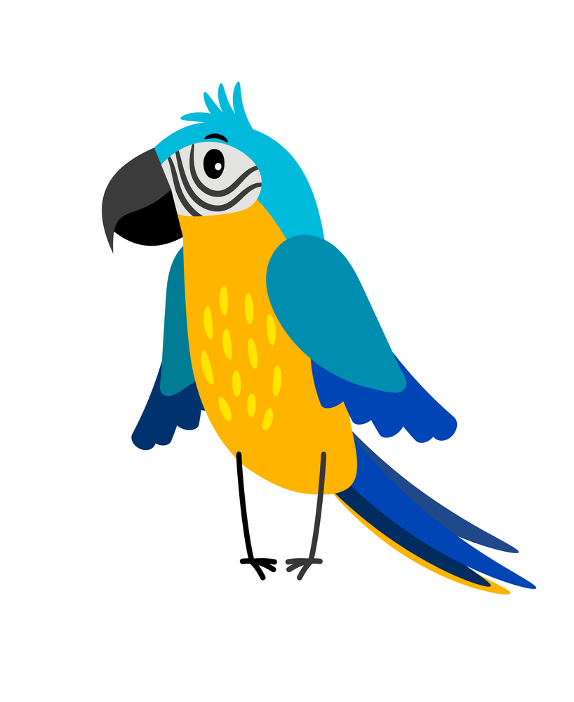 Parrot colorful cartoon bird icon isolated on white background, vector illustration. Parrot cartoon bird icon