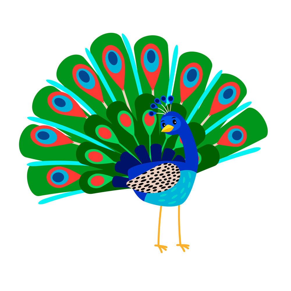 Cartoon beautiful peacock bird icon on white background, vector illustration. Cartoon peacock bird icon