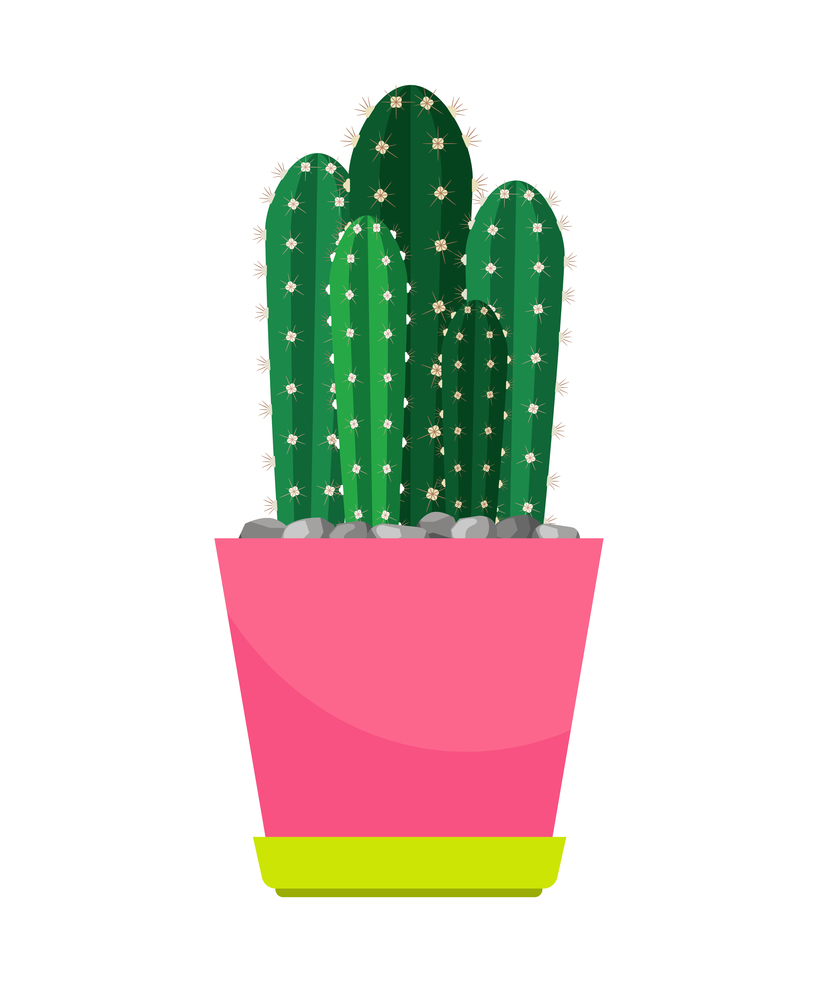 Cactus houseplant in flower pot vector icon on white background. Cactus houseplant in flower pot