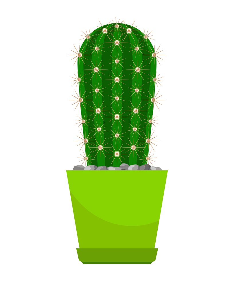 Cactus house plant in bright green flower pot, vector illustration. Cactus house plant in pot