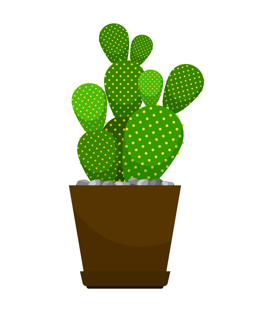 Cactus house plant in flower pot, vector icon on white background. Cactus flower pot