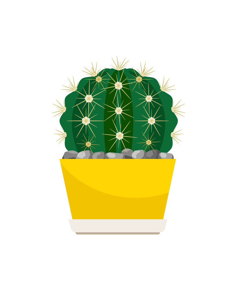 Cactus house plant in yellow flower pot, vector illustration. Cactus house plant in yellow pot