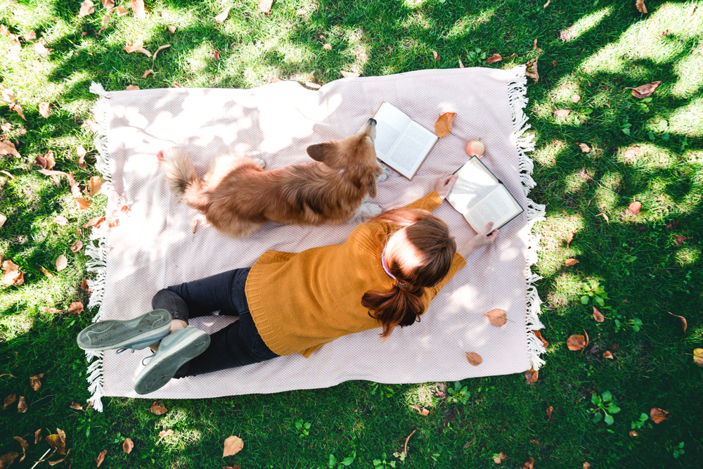 bright fun autumn. girl and dog Corgi  lie on a plaid on the lawn and read books