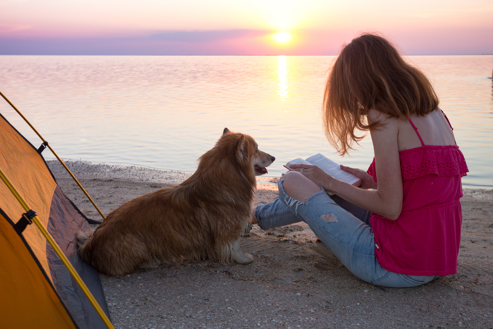 happy weekend by the sea - girl with a dog on the beach at sunset. Ukrainian landscape at the Sea of Azov, Ukraine