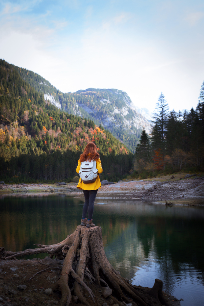 tourist girl with a backpack stands on a huge stump on the shore of a mountain lake