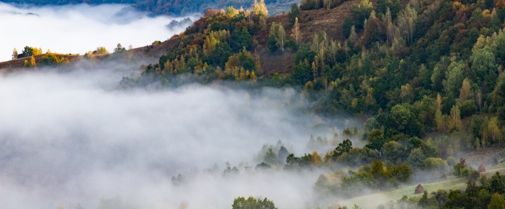 rural Romania beautiful foggy morning landscape in Apuseni mountains