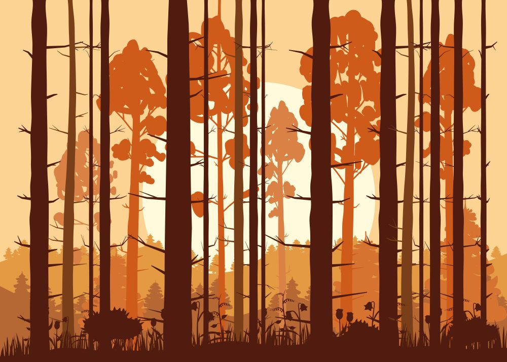 Forest, sunset, mountains, silhouettes of pine trees firs panorama horizon. Forest, sunset, mountains, silhouettes of pine trees, firs, panorama, horizon, vector, illustration, isolated