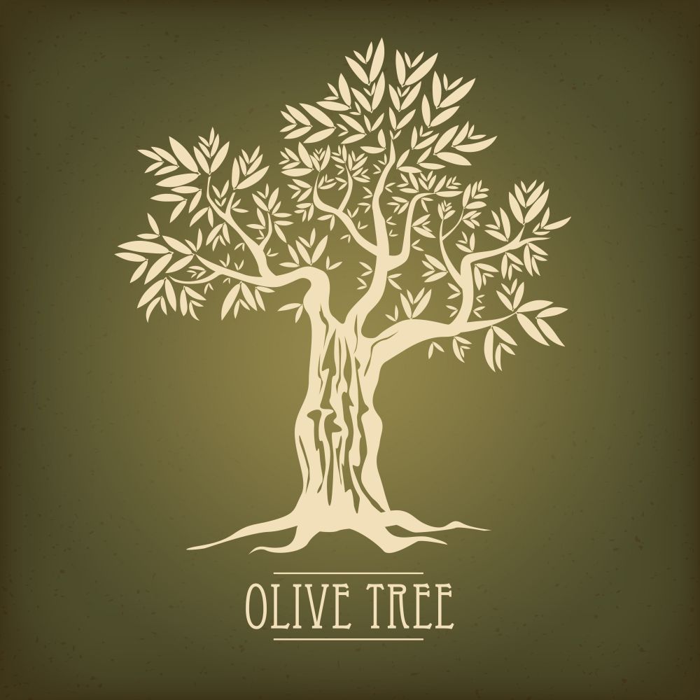 Olive tree on vintage paper. Olive oil. Vector olive tree.. Olive tree on vintage paper. Olive oil. Vector olive tree. For labels, pack.