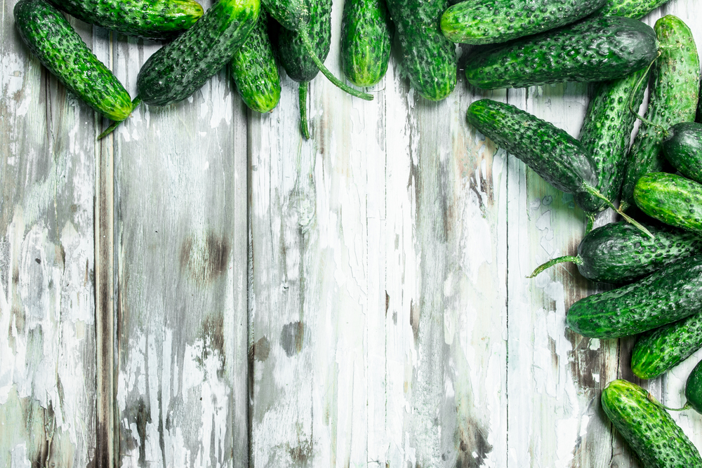 Whole ripe fresh cucumbers. On white wooden background. Whole ripe fresh cucumbers.
