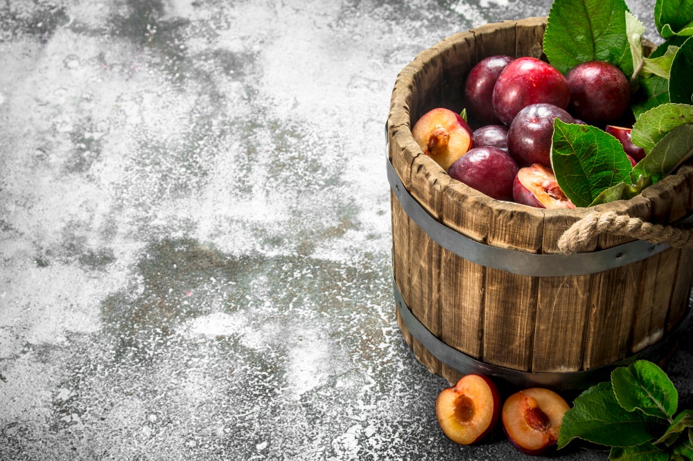 Ripe plums in a wooden bucket. On a rustic background.. Ripe plums in a wooden bucket.