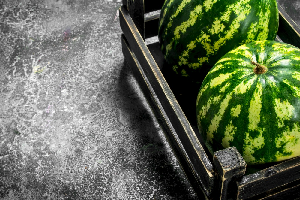 Fresh watermelons in a box. On a rustic background.. Fresh watermelons in a box.