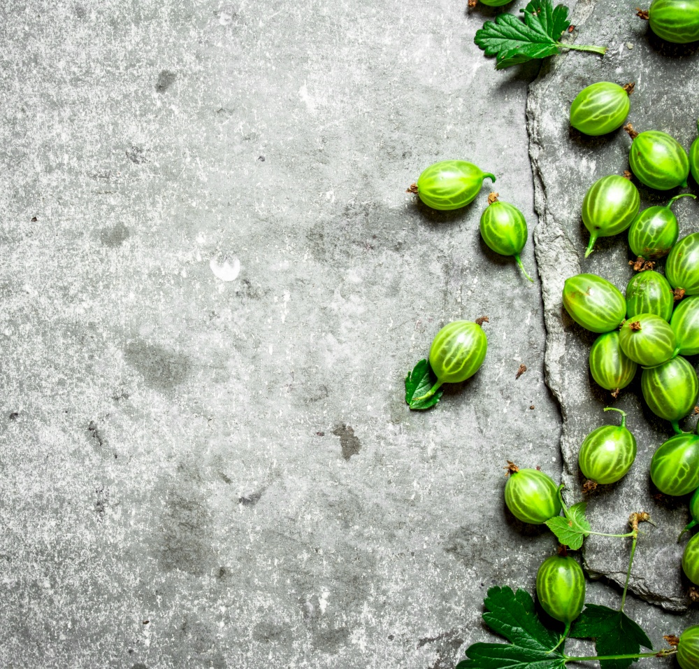 Fresh gooseberries with leaves. On the stone table.. Fresh gooseberries with leaves. On stone table.