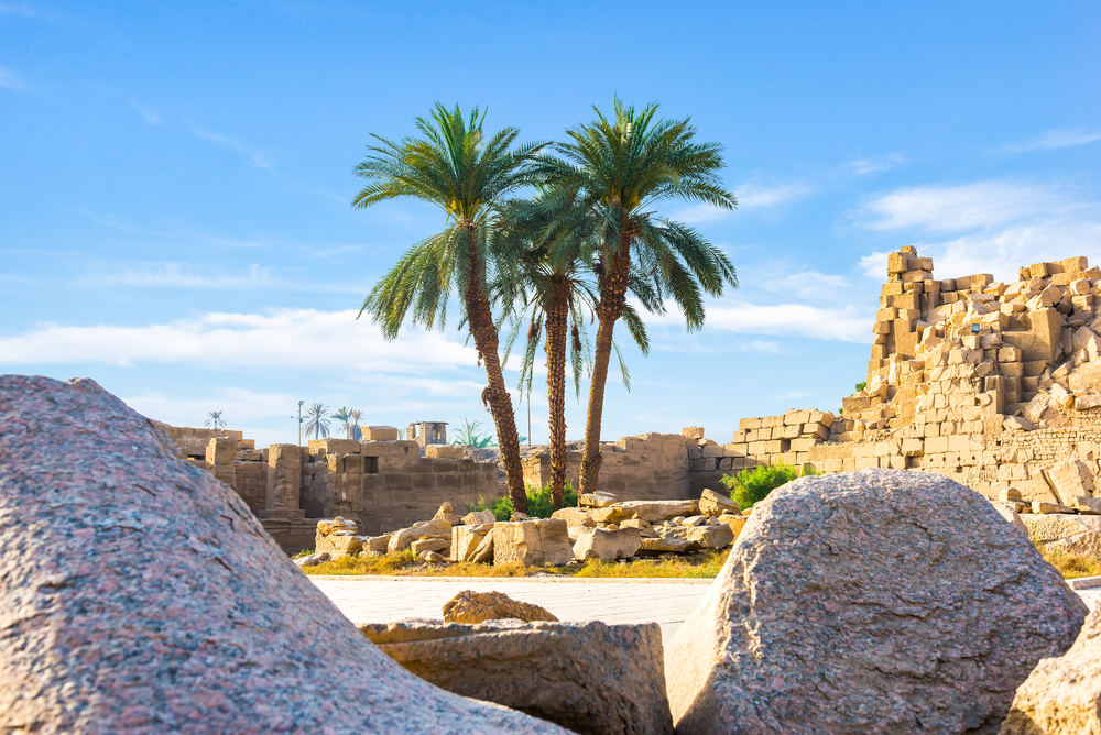 Palm trees and ruins of Karnak Temple at sunny day. Palm trees and ruins