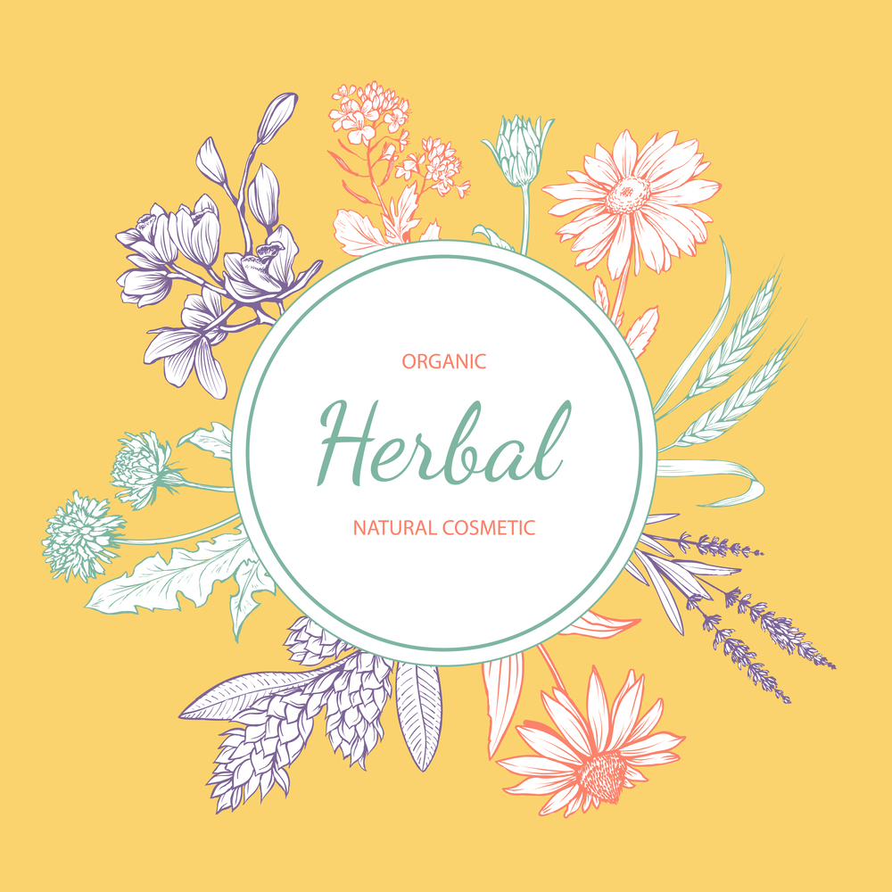 Natural cosmetics hand drawn vector label. Eco skincare product with herbal ingredients sticker design. Circle frame with wildflowers and lettering on yellow background. Floral border with text. Organic cosmetics hand drawn label