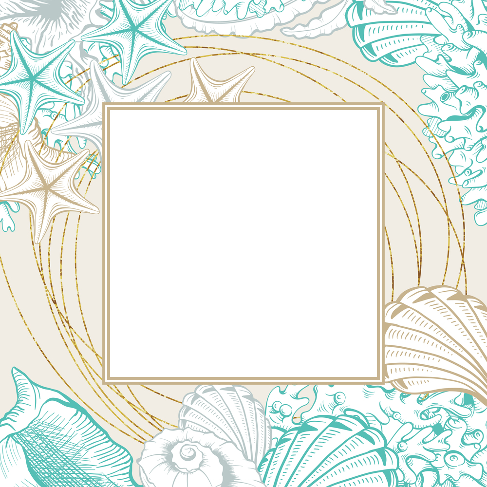 Square Frame with Seashells. Isolated vector poster with contour drawing sea shells for wedding design and thank you cards templates.. Square Frame with Seashells. Isolated vector poster with contour drawing sea shells for wedding design cards templates.